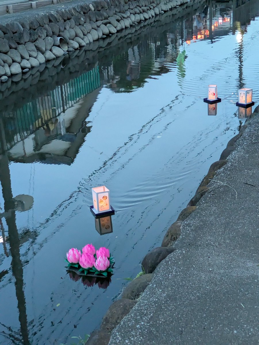 shigeki830e's tweet photo. 伊草町会の「灯ろう流し」に参加。
川面に浮かぶ灯ろうがとてもキレイで、心温まる素晴らしいイベントでした。
地域の伝統行事を大切に守り、開催してくださった町会の皆さまに心より感謝申し上げます。
ありがとうございました！
#灯ろう流し https://t.co/FxXBtvk1D3