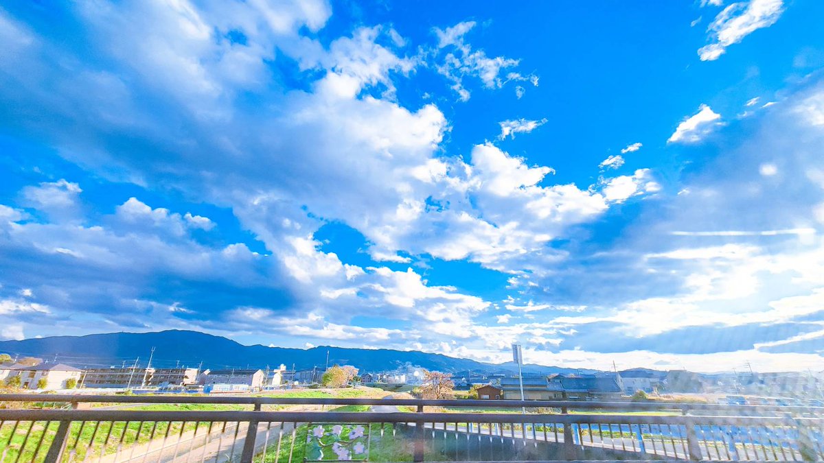 Sorani___Ao's tweet photo. 夏の魔法。 https://t.co/dAhCzXIHOA