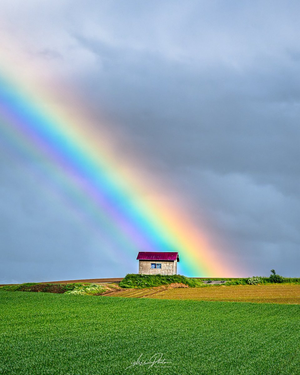 ishiii_p's tweet photo. 雨上がりの空に虹がかかりました🌈

#北海道　#東京カメラ部 https://t.co/qZyZCJggMY