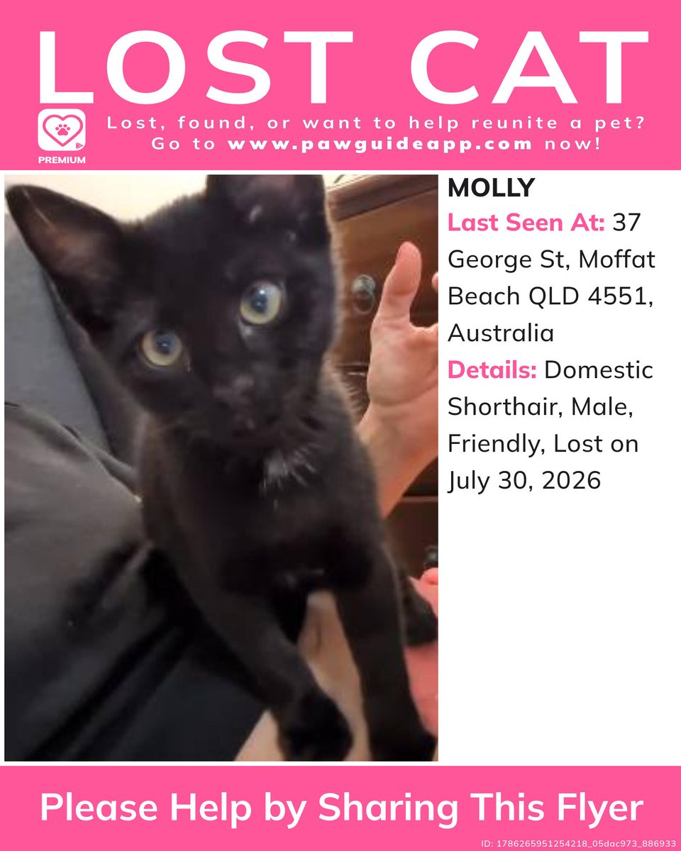 Pawguideapp's tweet photo. Please spread the word! If you have any information, please comment below.
Lost or found a pet? Report it quickly on Paw Guide.#lostcat #missingcat #lostcatinmoffatbeach #lostcatmoffatbeachqld #missingcatmoffatbeachqld #lostdomesticshorthairmoffatbeachqld #lostdomesticshorthai... https://t.co/oEqYaO4259