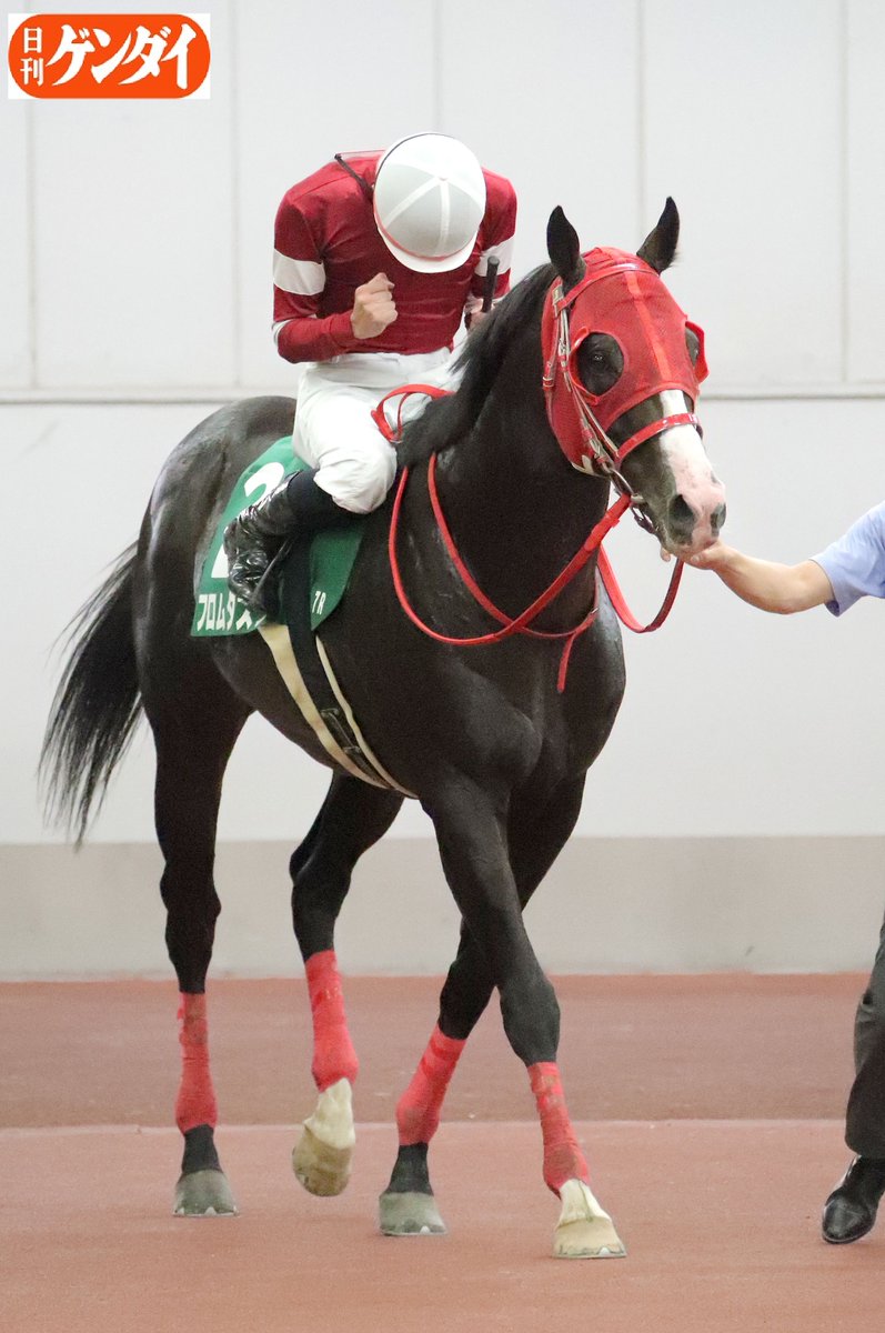 gendai_keiba's tweet photo. 〝そんなの関係ねえ〟
中井裕二騎手のガッツポーズ詰め合わせを。
#中井裕二 #騎手 #ＪＲＡ
#ＣＢＣ賞 #フロムダスク https://t.co/IoftVCbE38