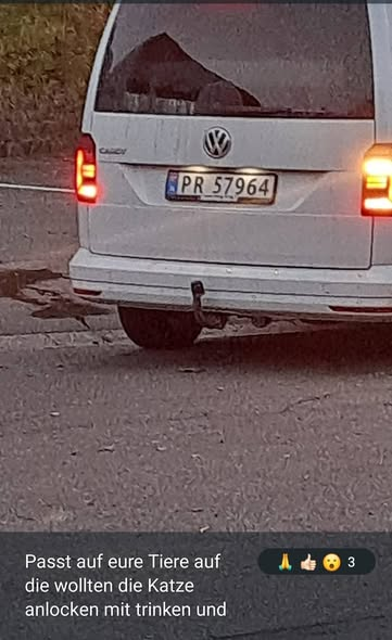 yolandaschultes's tweet photo. Kopie
Achtung !
Tierfänger in Brekendorf! Gestern Abend ca 21.15 an der Feuerwehr gesehen worden .
Sie haben mit Futter und Wasser versucht eine Katze zu fangen .
Die Besitzer waren gerade nach Hause gekommen ,das Auto stand offen ,im Kofferaum Gitterboxen ,ein Golden Retriever (ev. auch gestohlen) war zu sehen 
Polizei ist informiert !
Täter ,eine Frau ,ein Mann ca 25-30 ,schlank ca 170-180
Bei Sichtung bitte Polizei 110 sofort verständigen ! Danke