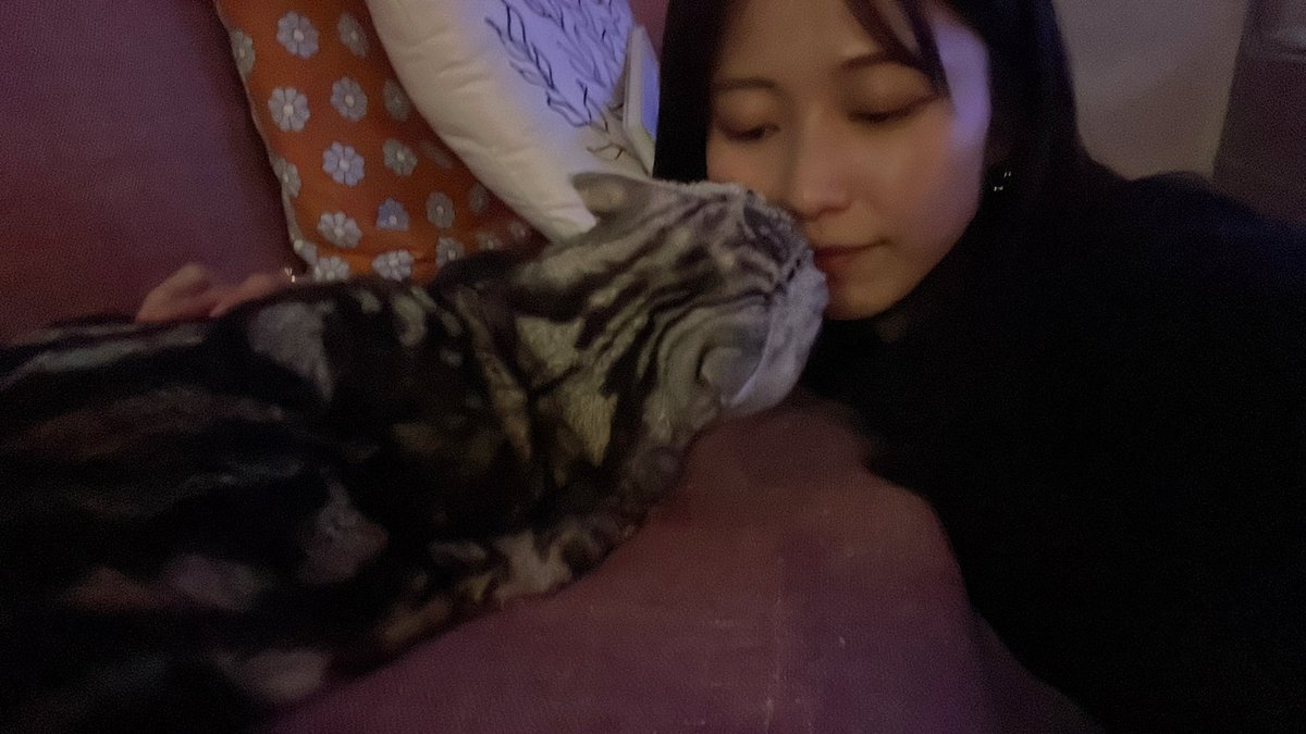 Yui_yoko1208's tweet photo. ビス、14歳のお誕生日おめでとう🐱🐾
いつもありがとう💜 https://t.co/SYiQHSBl6u