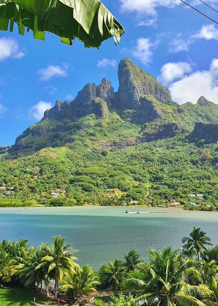 flower6260's tweet photo. French Polynesia https://t.co/9lYIurvaE8