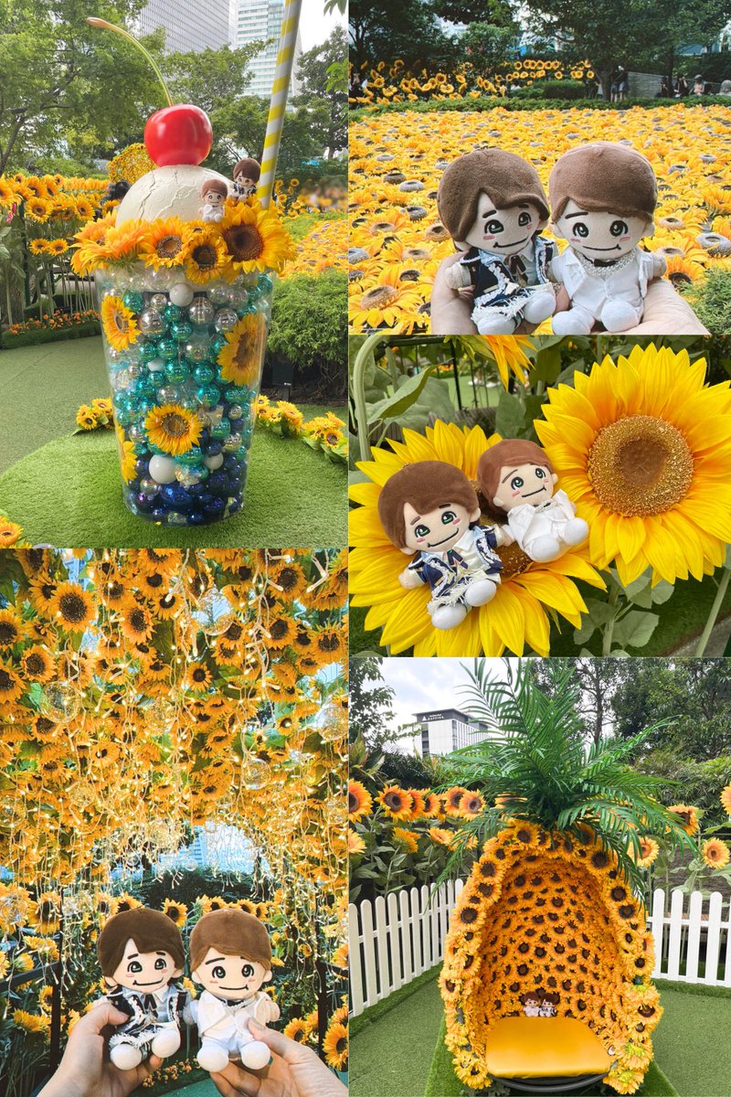 t728ooo's tweet photo. ひまわりスカイガーデン🌻
めちゃくちゃ夏ーー😆☀️
いつも周りを明るくハッピーにさせてくれる、太陽みたいな大橋くん💚
ひまわり似合いすぎて眩しい😆🌻✨
写真いっぱい撮ってしゃべくり倒して楽しい休日だったなー🫶🏻🫶🏻
今日の大橋くんがハッピーに過ごせていますように🍀
#大橋和也誕生祭2026 https://t.co/09GqlLh7xE