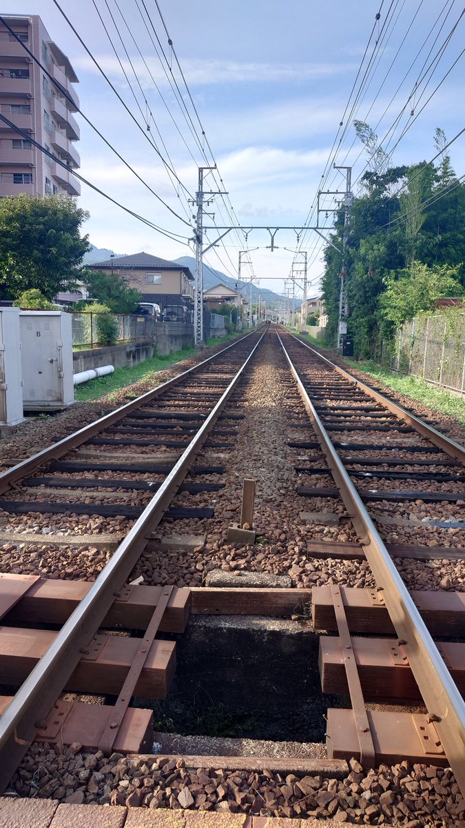 mikinatea's tweet photo. ちはやの聖地近江神宮！
赤い社がめちゃくちゃかっこよかった！
御朱印もすごくないこれ切り絵なんだよ初めて見た😊😊
あとこういう線路の場所好きなんだよね

#mikina旅log https://t.co/d9sfgVjnJ2