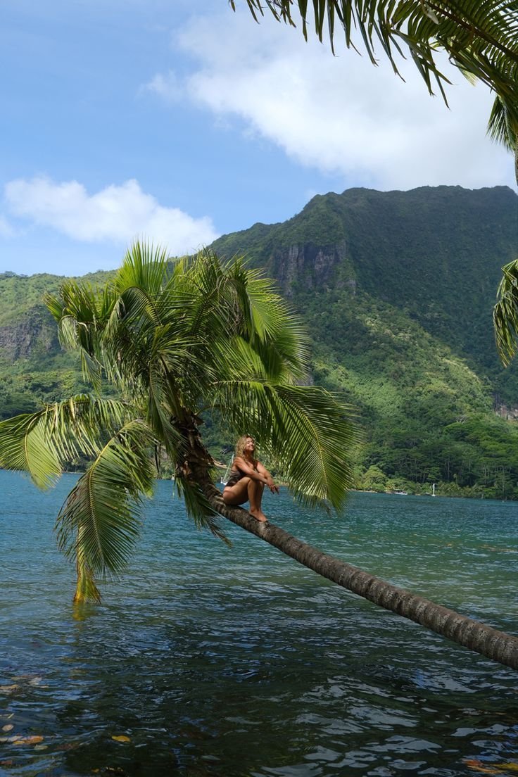 flower6260's tweet photo. French Polynesia https://t.co/9lYIurvaE8