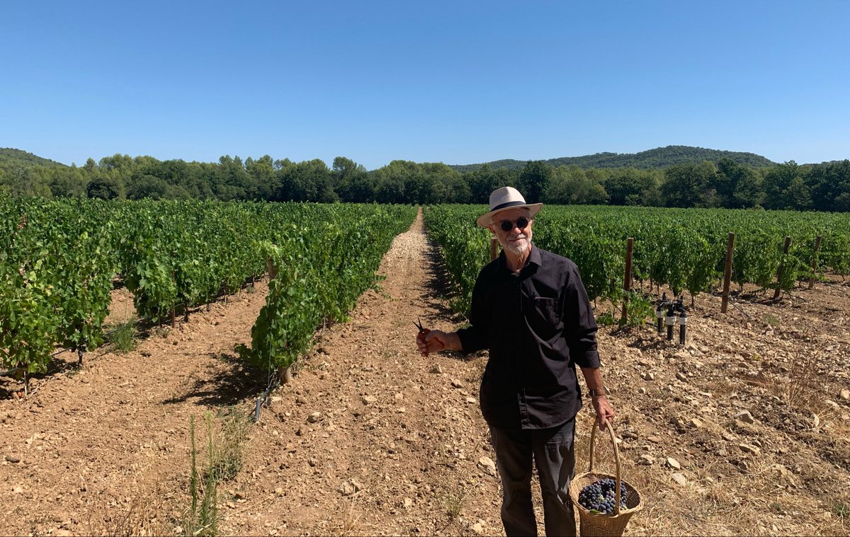 JMCambaceres's tweet photo. #GFAviticolemasMathieu 30. Les #Blancs sont mûrs, les #vendanges commenceront le 17 août. Pour les #Rouges, paradoxalement, les canicules n’ont pas avancé la #maturité et ont plutôt bloqué la croissance. Vendanges pas avant début septembre. @AmisMasMathieu https://t.co/eRmT8ufEem