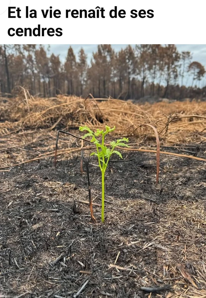 Sabine82000's tweet photo. 🌿🌿🌿🥰 https://t.co/E7H90LimUB