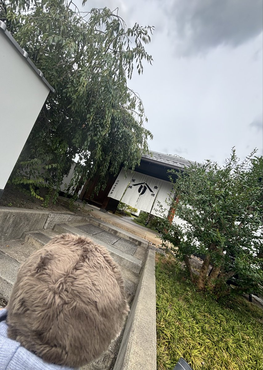 Shinoputi's tweet photo. 抹茶パフェ＆ほうじ茶パフェ😋
オヤツも楽しみ😊 https://t.co/KXMOIVeDNb