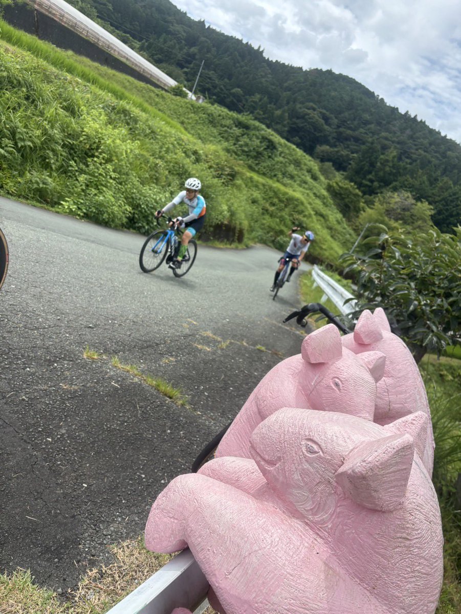 daichaso1108's tweet photo. 豚さんがアレーアレーと鳴いております🐷Allez!Allez! https://t.co/M0HJqJakFT