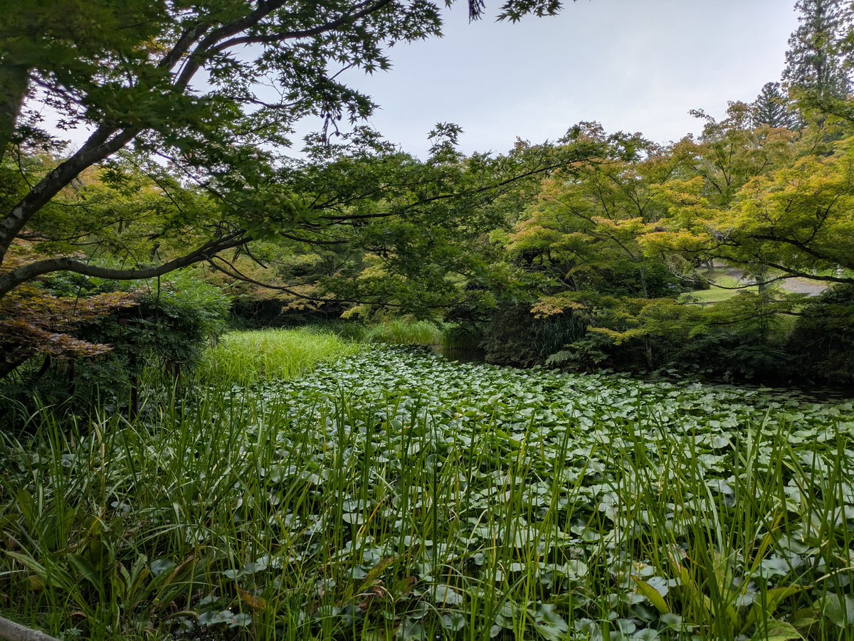 PM1600JP's tweet photo. #福島県  #福島市 https://t.co/VSMTVLU4ua