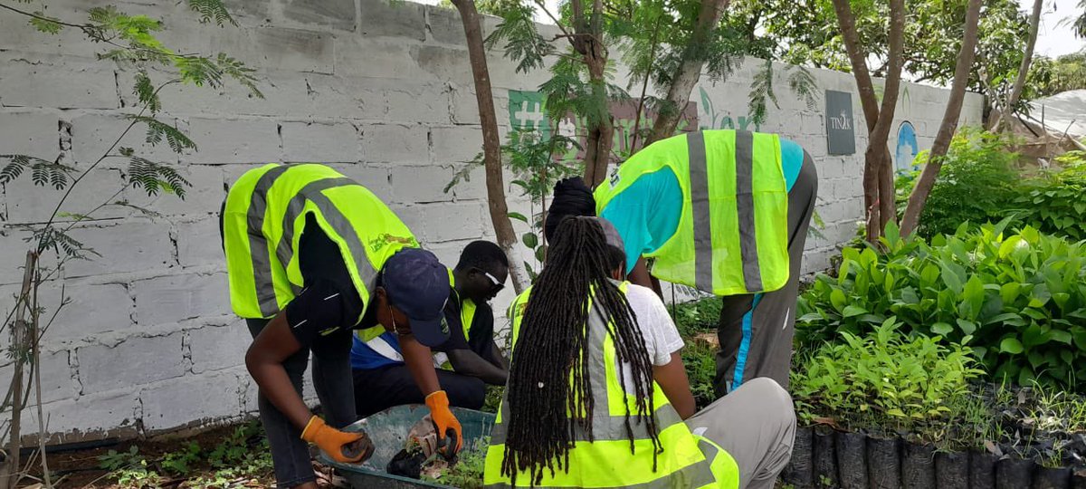 binette_binta's tweet photo. J’ai planté mon arbre 🌳.
As tu planté ton arbre 🌳 ? 
#QuartierVertChallenge 
Journée nationale de l’arbre au Senegal @Fall_MBF 
🌳💚 https://t.co/QBOWhxkAYu