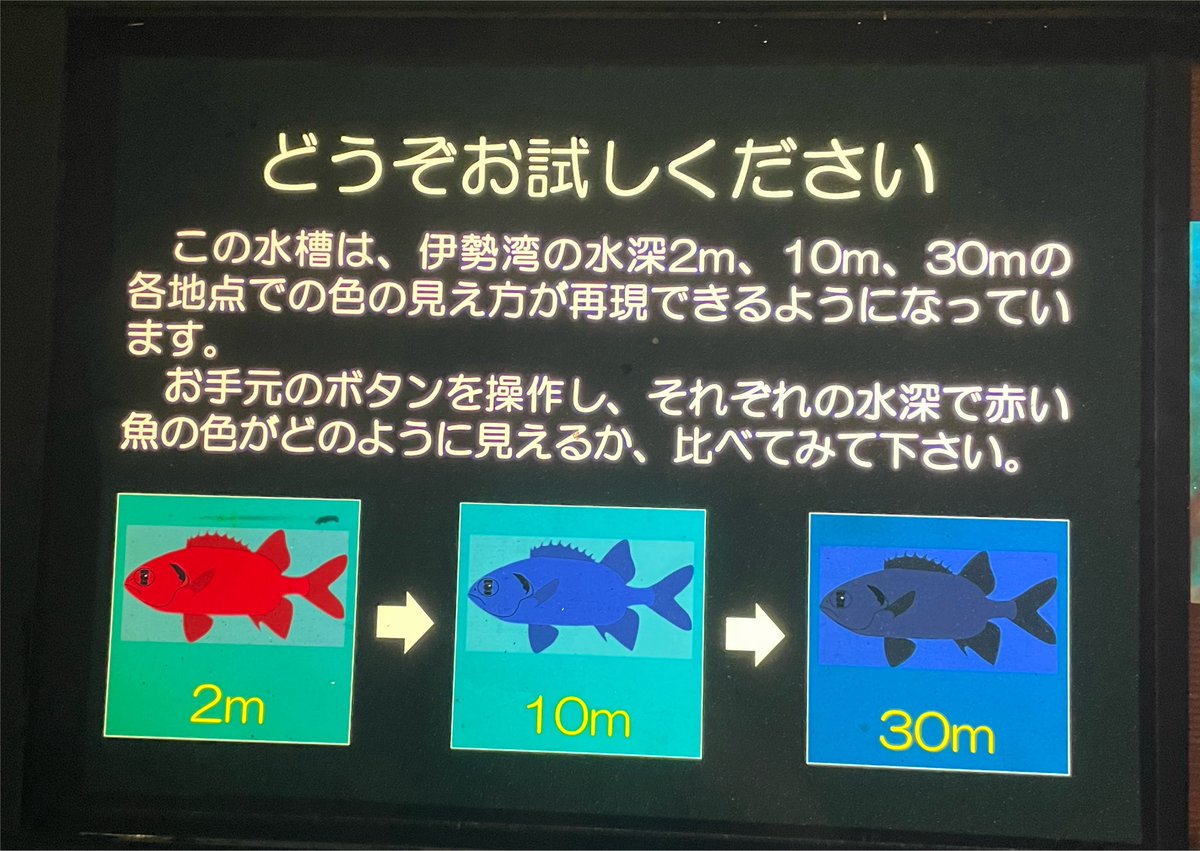 yri_46's tweet photo. 水族館「水深30mでは赤い魚が黒い魚に見えます」
ワイ「ツイステで学んだやつだ」 https://t.co/X4vD0VoFpF