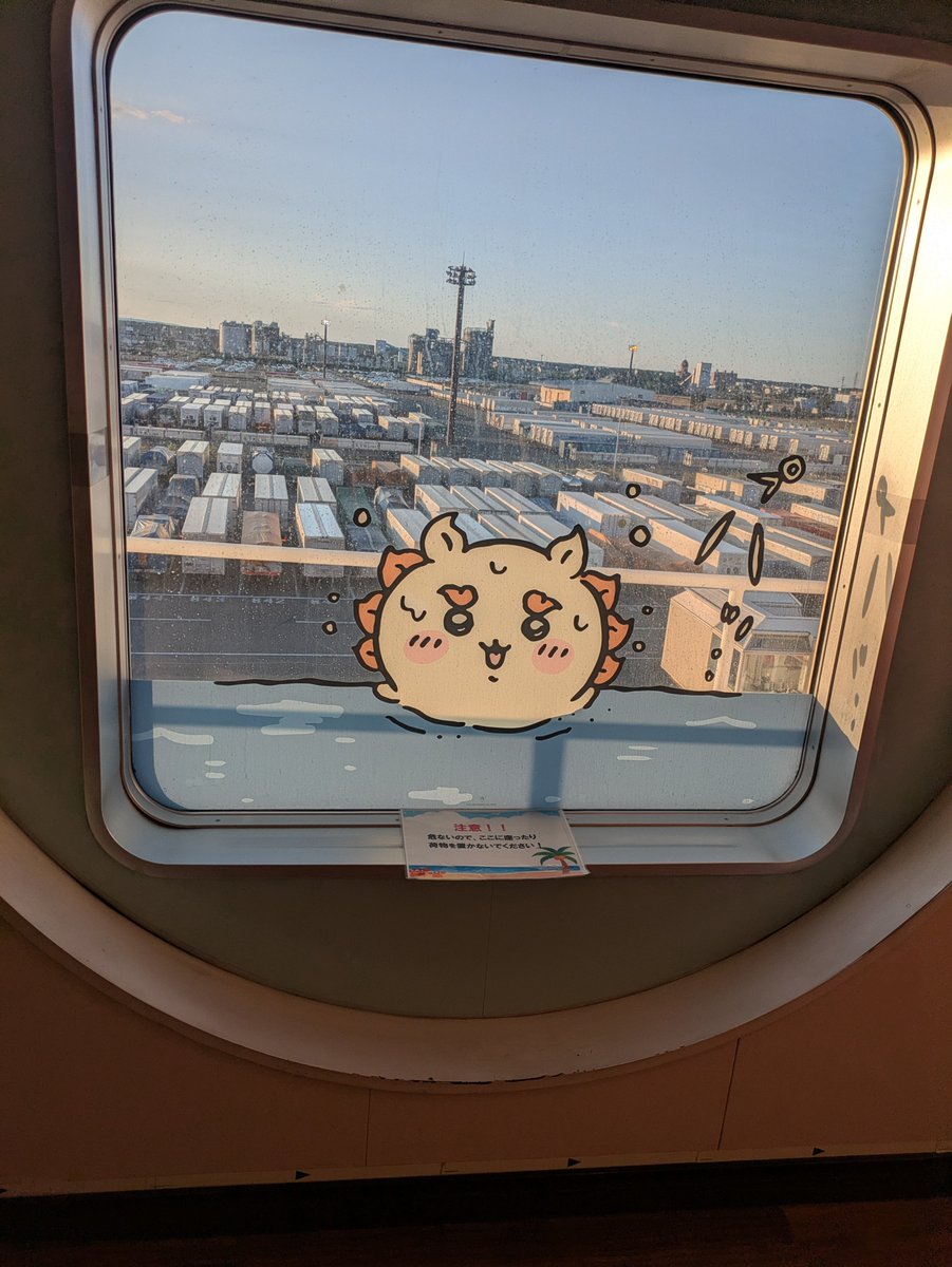 cihirosan's tweet photo. しるっしるっ https://t.co/1t6MV6yUdq