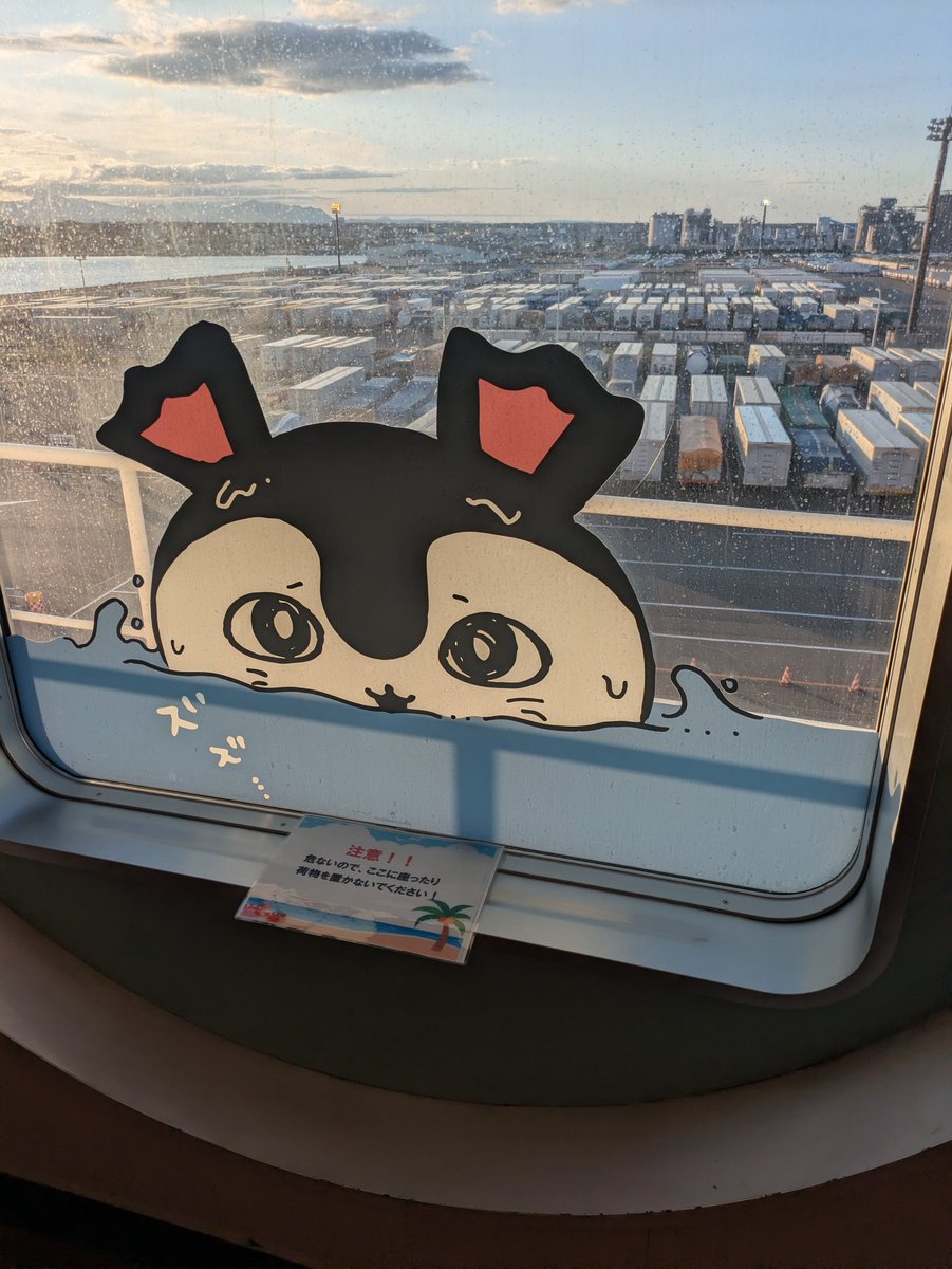 cihirosan's tweet photo. しるっしるっ https://t.co/1t6MV6yUdq