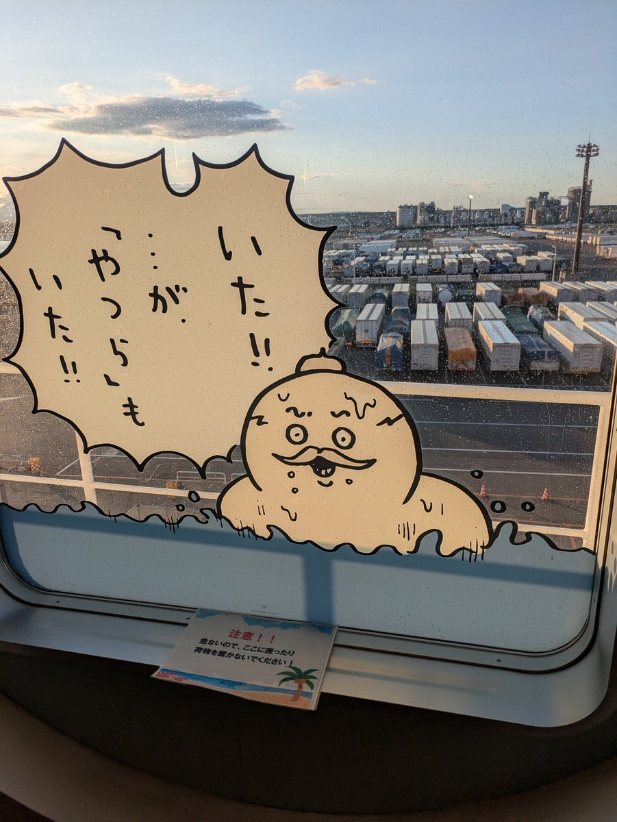 cihirosan's tweet photo. しるっしるっ https://t.co/1t6MV6yUdq