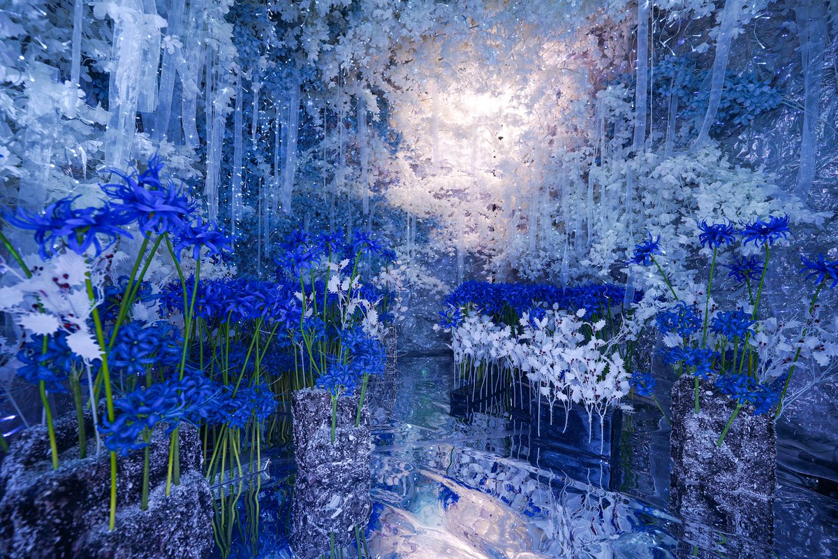 comuya_com's tweet photo. こんばんは、こむやです🐱❄
四季のブースは11月15日から青彼岸花がテーマになります(※写真は昨年のもの)
銀世界に青い彼岸花が咲く、神秘的なブースで撮影はいかがでしょうか☺️
ご予約は90日前から受け付けています。
皆様のご予約お待ちしております🙇‍♀️ https://t.co/Ma4QkUAxIU