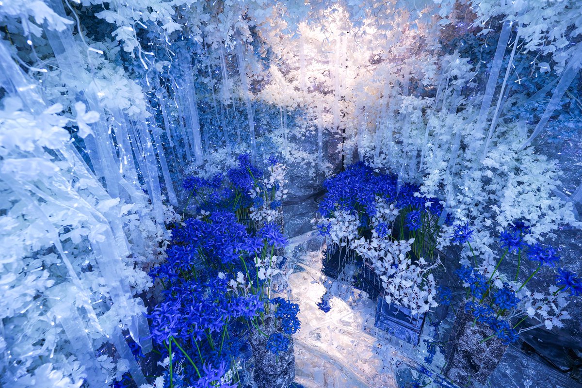 comuya_com's tweet photo. こんばんは、こむやです🐱❄
四季のブースは11月15日から青彼岸花がテーマになります(※写真は昨年のもの)
銀世界に青い彼岸花が咲く、神秘的なブースで撮影はいかがでしょうか☺️
ご予約は90日前から受け付けています。
皆様のご予約お待ちしております🙇‍♀️ https://t.co/Ma4QkUAxIU