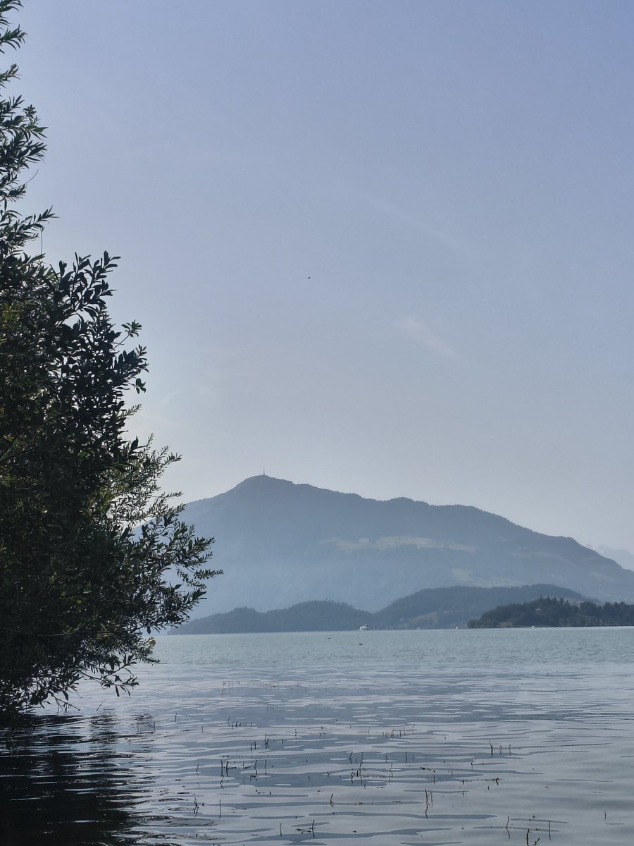 DerSouveraen111's tweet photo. @Thron63 Grüße vom Zugersee 👋🏻🇨🇭☀️ https://t.co/b5Rf4aVPrR