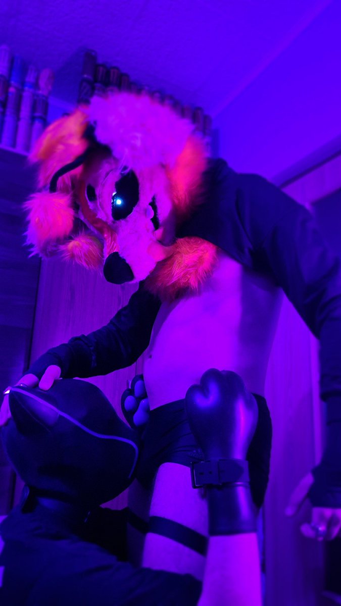 Bill_the_bee's tweet photo. Drones must serve their Master~
#furrynsfw #drones #latex https://t.co/6DWl5waR98