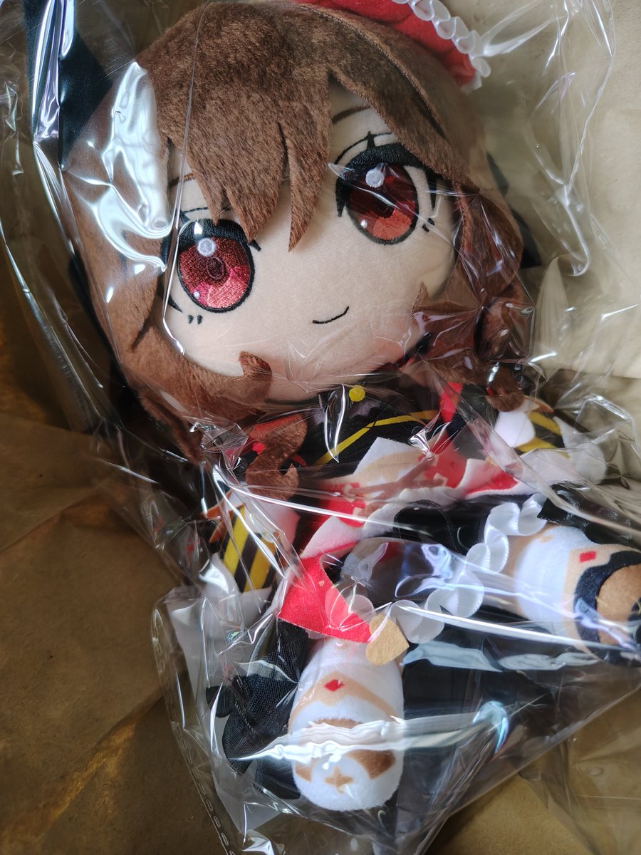 guskasan's tweet photo. 半年前にサイストアで注文していたブツを運び屋ブラックキャットが無事届けてくれました🐈‍⬛ https://t.co/qEDxRix4xE