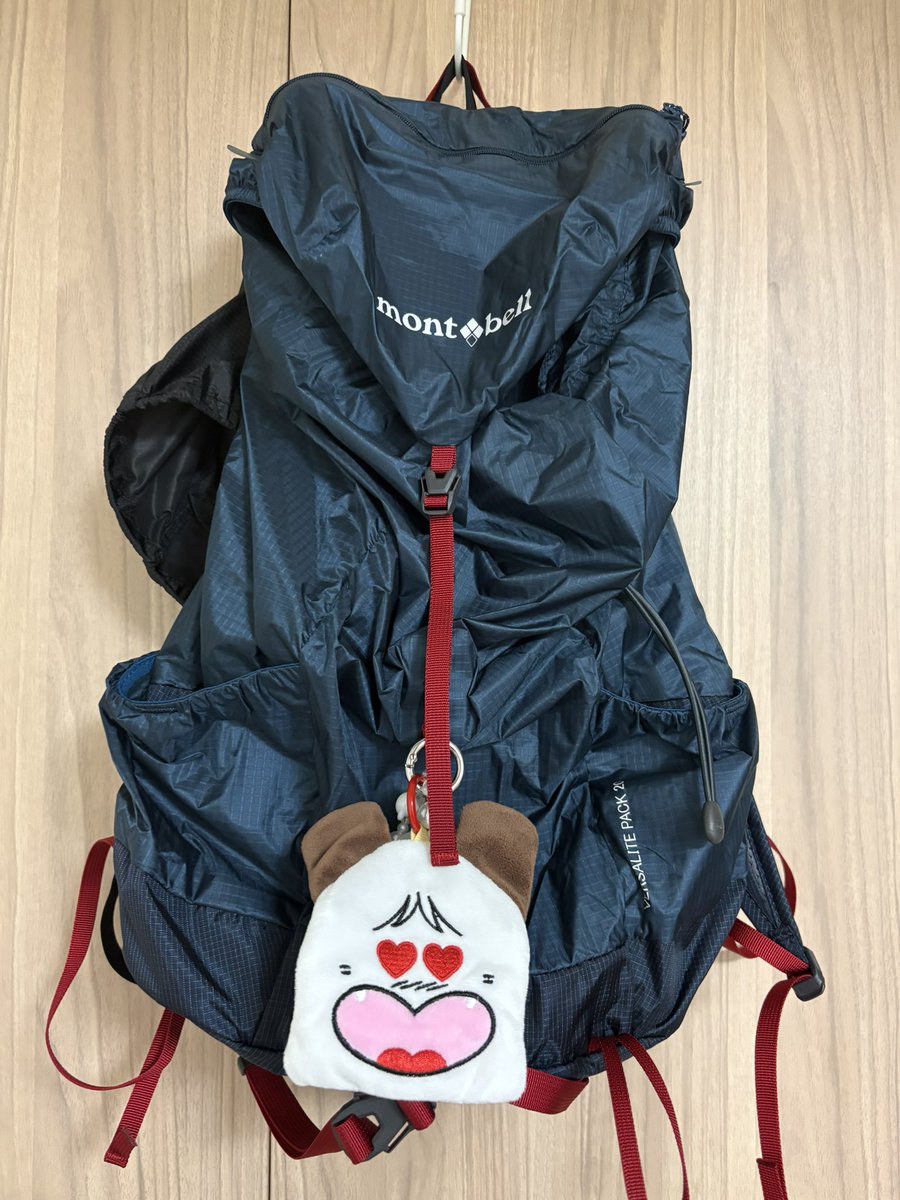 Uml7_'s tweet photo. やぱ絶対サイドポケット欲しいからドデカ20㍑にした https://t.co/1Xl94oUYcX