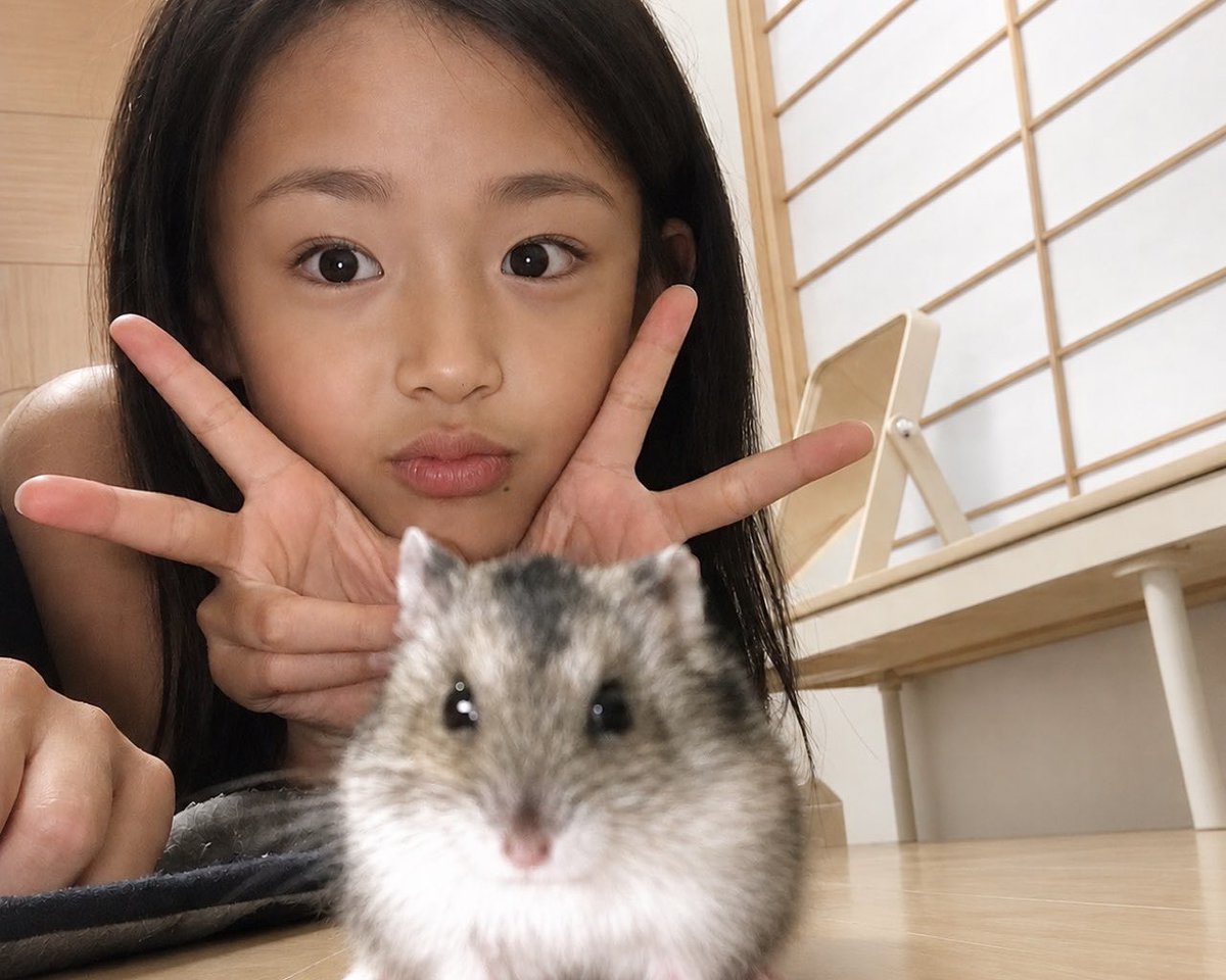 81na__'s tweet photo. ずっと美人さん https://t.co/O3lZJZuikE
