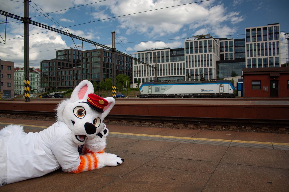 B_railway_dog's tweet photo. It isn't the beach, but I like it here - I can see Vectrons from here 😁🚂🐶

📸 @LickTheProto 

#Siemens #Vectron https://t.co/bS5EZpRXh4