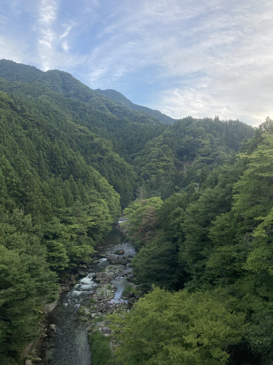 tonari_doshi's tweet photo. 18:00本日の業務終了
気温25°Cヒグラシの鳴き声、夕方の空気。
夕方のランニング🏃気持ちいいです

＃道志  ＃いまそら　＃貸し別荘 https://t.co/4BhbgRhpY7