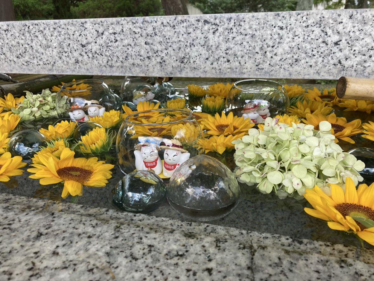 etranger_parade's tweet photo. 刀と出会う夏休み②竹駒神社 https://t.co/0Ju31j8unq