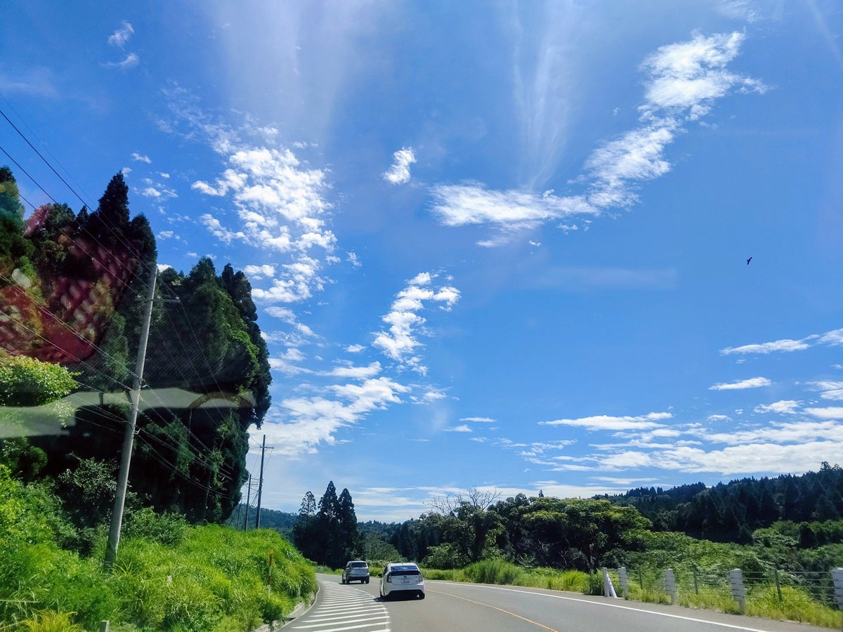 biways's tweet photo. 終活ではないけど、私の写した写真が膨大にあって、ボチボチと整理しながら懐かしくの時間を過ごしてるが、若い時代の職場の慰安旅行の様子が沢山～でもでも集合写真を見ると私と残り２名が生存してます～亡き人ばかりに～寂しくもあり懐かしくもあり～時代を思います
#高島市 https://t.co/4XYSTPxH3a