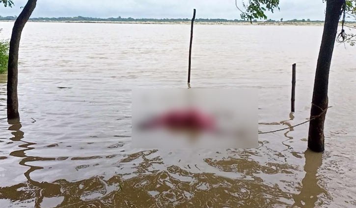 Safron_lotus's tweet photo. Hindu housewife Basana Rani Malakar , mother of two, was found dead in Surma River in Zakiganj, Sylhet. Islamists killed her mercilessly, as her she was found dead floating in Surma river. https://t.co/RGgJaYR4jf
