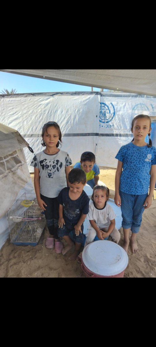 mahmoudgaza01's tweet photo. 💔 We are no longer asking for much… we just want to live with dignity.
Behind every tent in Gaza is a family trying to survive, and behind every child is a little heart longing for something simple that makes them feel safe. 🥺❤️
We need your support to provide food and basic necessities for our children and ease the hardship they are facing. 🙏🏻
Even a small donation can make a big difference in our lives.
Please stand by us. God never lets the reward of kindness go to waste. 🤲🏻🇵🇸
🙏🏻❤️ Your donation today could be the reason a child smiles tomorrow.
https://t.co/6bsUEodKcf