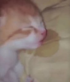 __paper_plane__'s tweet photo. @strevaberry Ui m y’a eu une pre release m ca y es je l’ai écoute et ah tu parle de tasty l’album de dkz ui j’ai tt écouté ct trop bien hihi https://t.co/VnPcsIL6O8