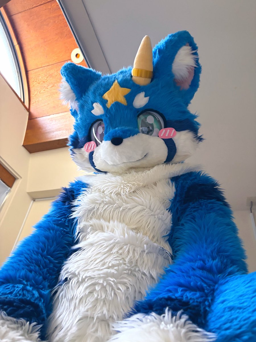 Mintydoggo_'s tweet photo. 綿同じでこの変化具合
←ぽっちゃり流星　　　スリム流星→ https://t.co/vFwIZyTyMB