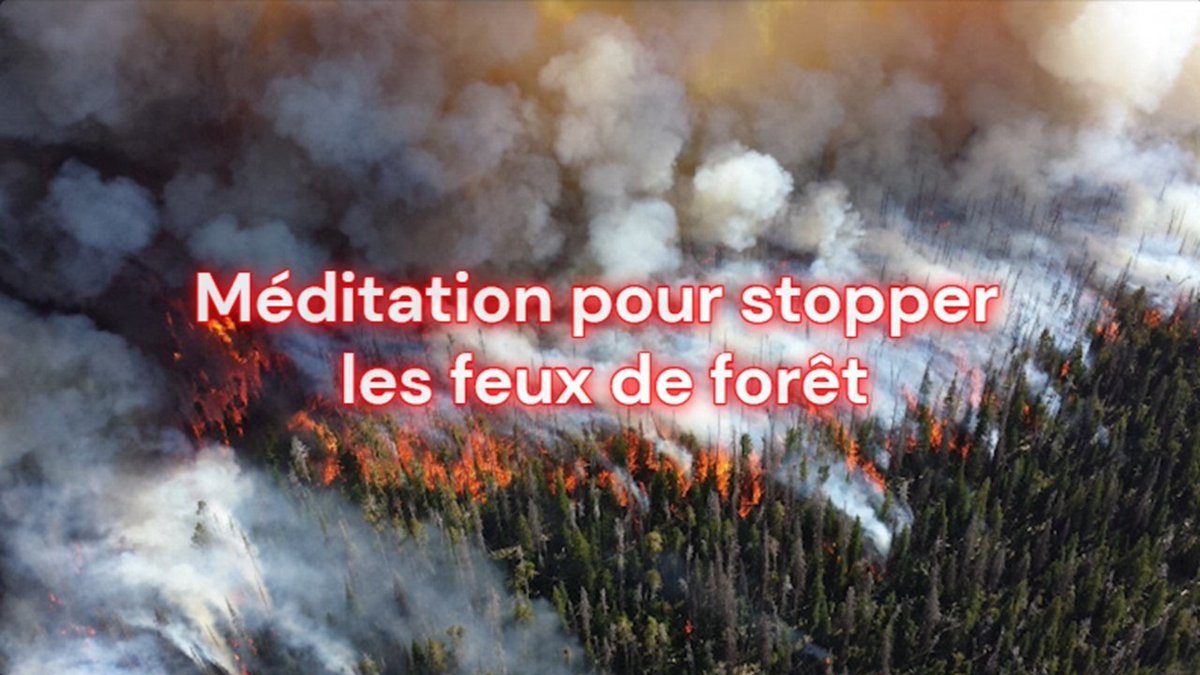 Welovemassmedis's tweet photo. Méditation pour arrêter les feux de forêt - French guided audio https://t.co/oMNlJjHRd6 https://t.co/4v8IyvmR0g