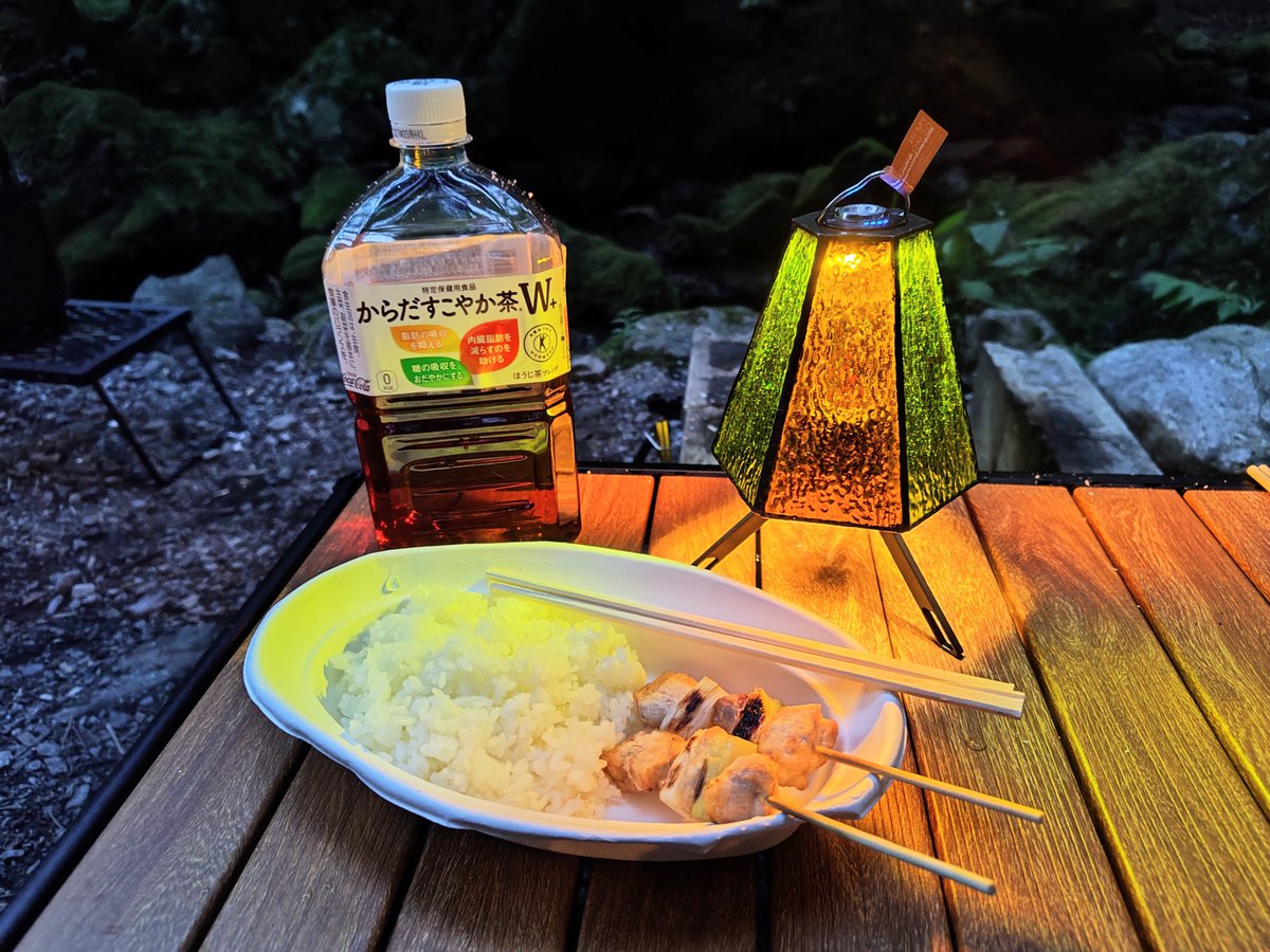 Barry_Mk2's tweet photo. キャンプの夕飯焼き鳥ごはん

昼炊きすぎたぁ…

（広告・からだすこやか茶） https://t.co/H36VUaX5Rv