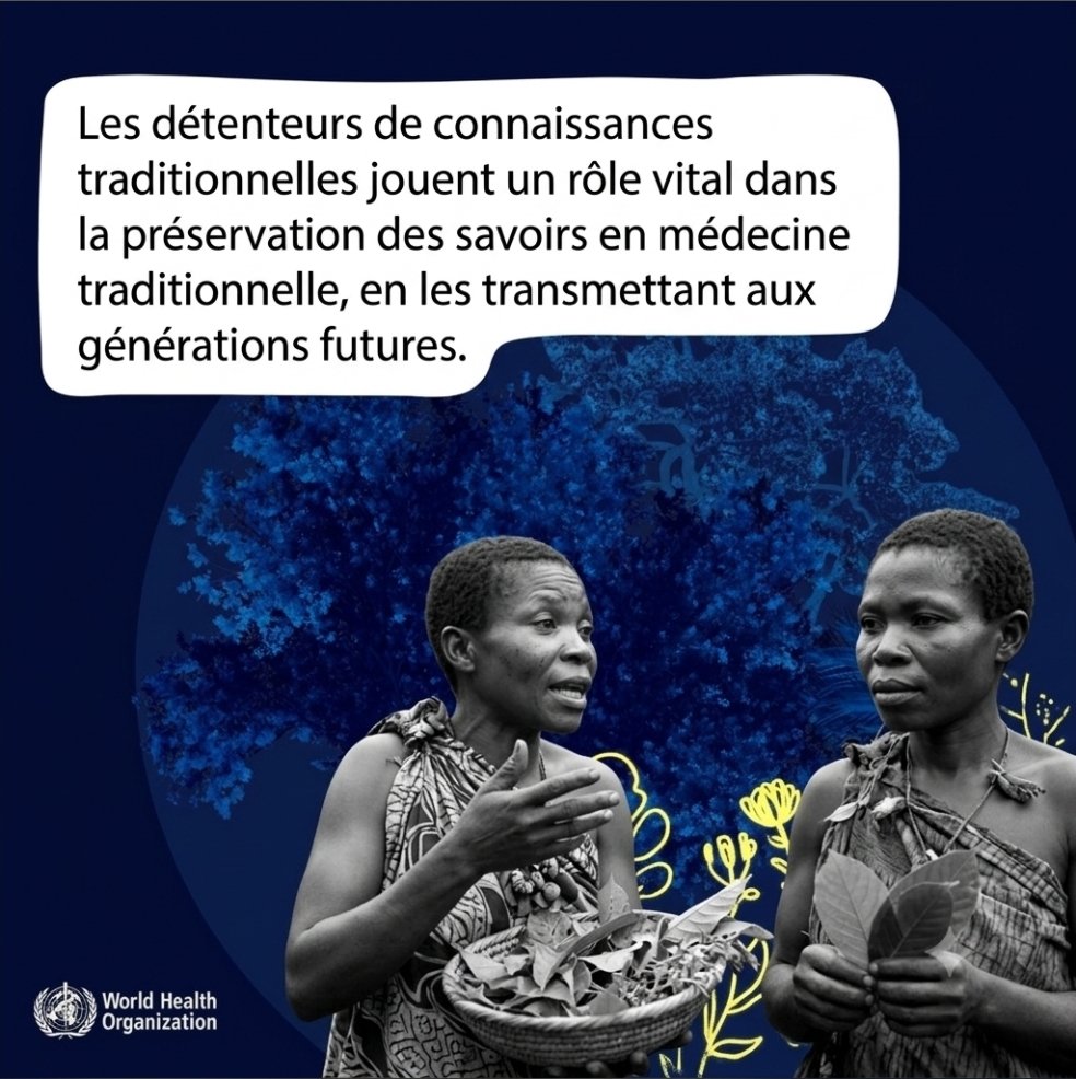 OMSRDCONGO's tweet photo. En cette Journée internationale des #PopulationsAutochtones, reconnaissons les détenteurs de savoirs traditionnels autochtones &amp; le rôle vital qu’ils jouent dans la santé &amp; le bien-être.

Nous pouvons tous contribuer à promouvoir des systèmes de santé respectueux de ces savoirs. https://t.co/KePGlM9bpg