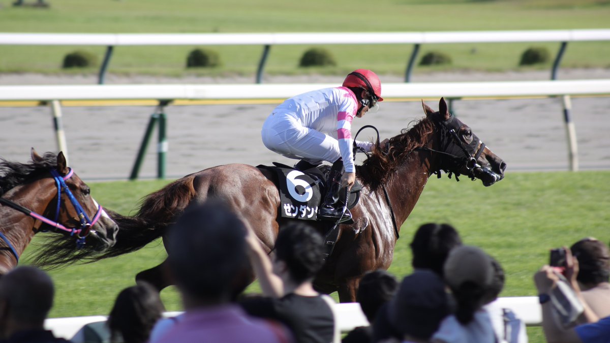 5annyellow's tweet photo. 馬観れてとても満足🏇
馬券は知らないが… https://t.co/UPz3oRnMfK