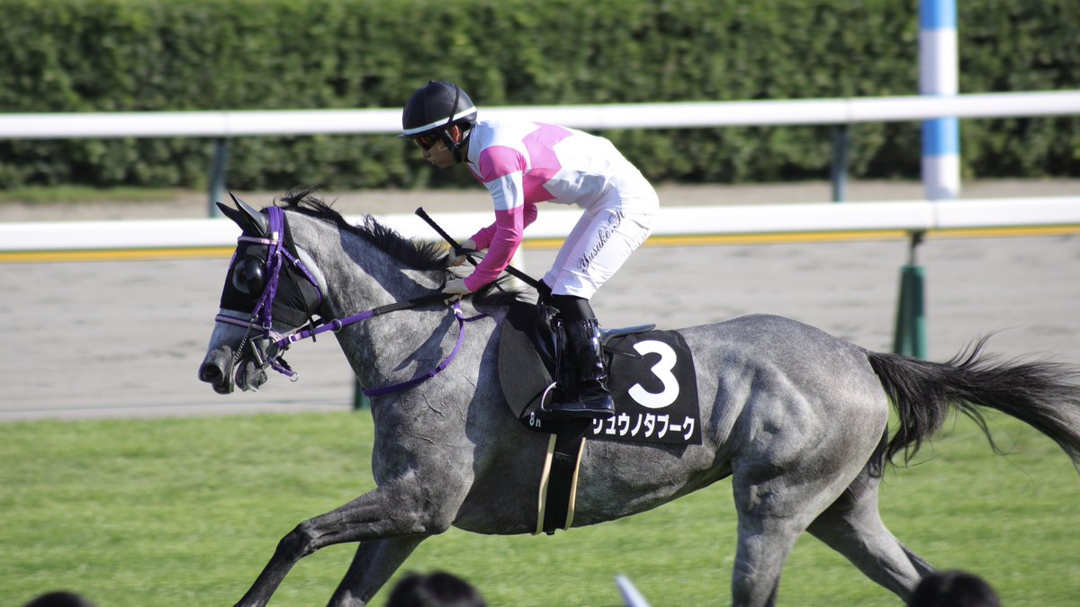 5annyellow's tweet photo. 馬観れてとても満足🏇
馬券は知らないが… https://t.co/UPz3oRnMfK