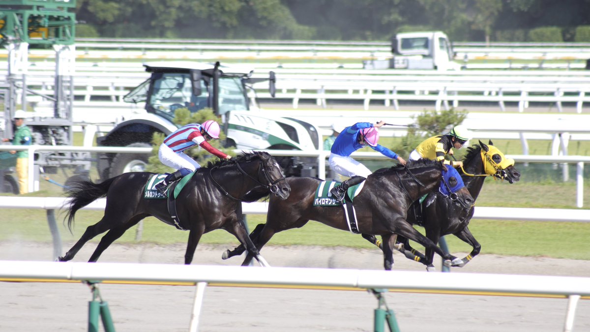 5annyellow's tweet photo. 馬観れてとても満足🏇
馬券は知らないが… https://t.co/UPz3oRnMfK
