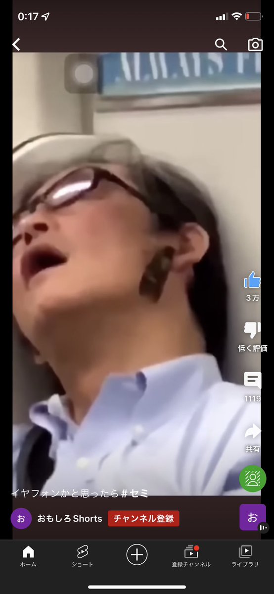 YTMGS's tweet photo. これ知らないセミでしょ？ https://t.co/iKdlRhcivS
