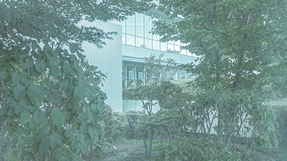 _neo_x__'s tweet photo. ︎ ︎透彩. https://t.co/cBURHy5Lz9