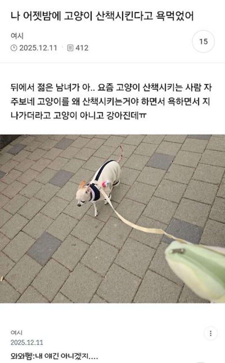 gr00000m3's tweet photo. 아진이랑 엘리자배스 https://t.co/hGWmxyYu7i