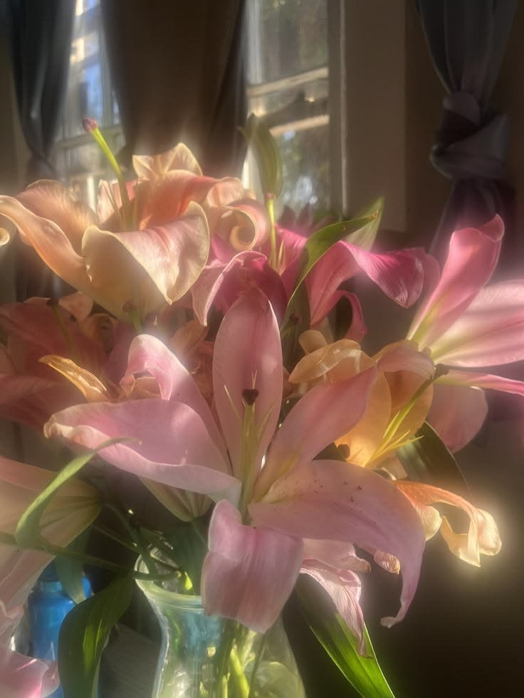 cozyycabin's tweet photo. lily flower https://t.co/ql1SIvNjmN