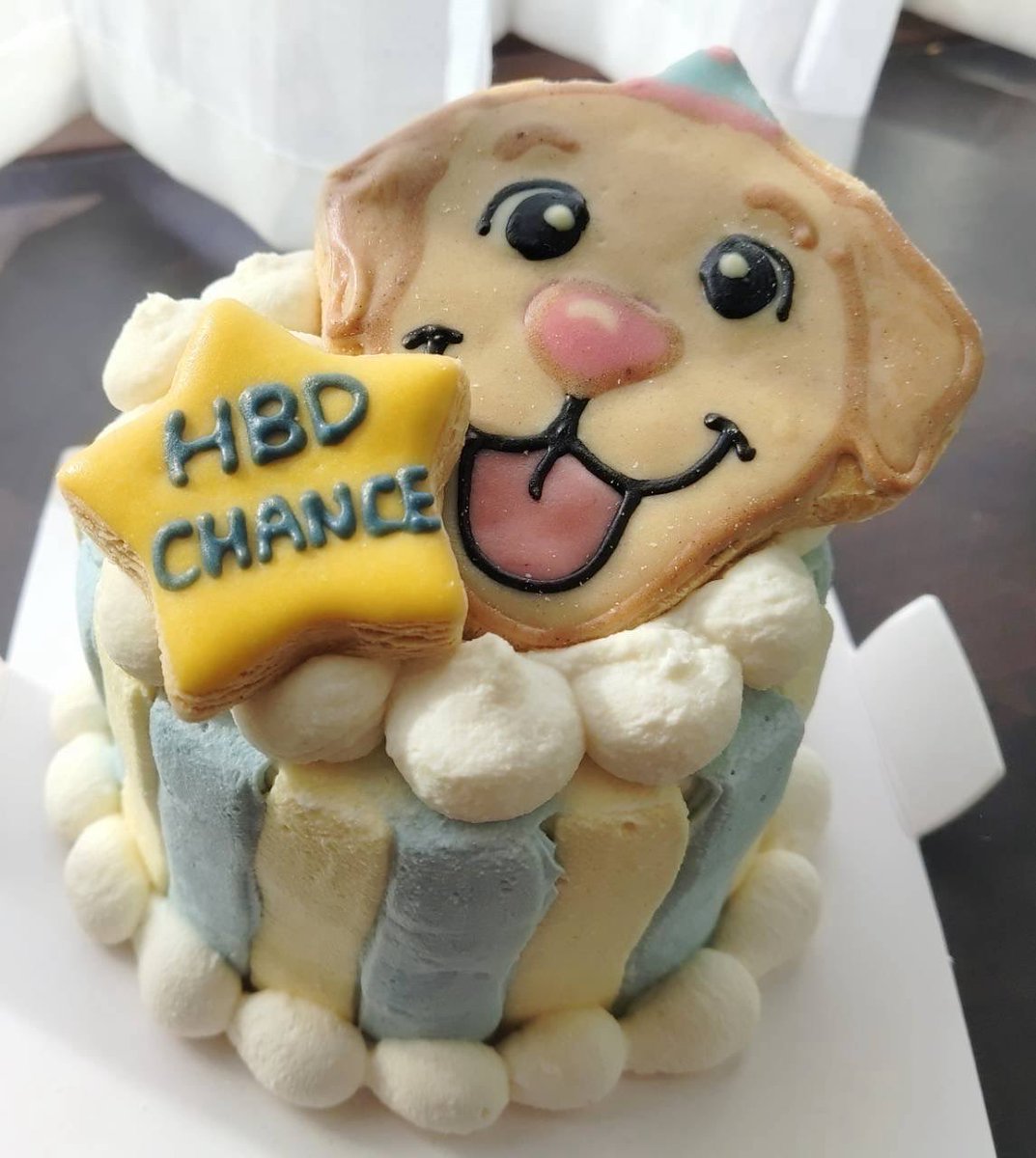 cocha_ferret's tweet photo. お陰様でチャンスも元気に5歳を迎えました。また来年も元気な誕生日を迎えられますように‼︎‼︎
#ラブラドール #保護犬 #誕生日 https://t.co/HYkJC6eDQg