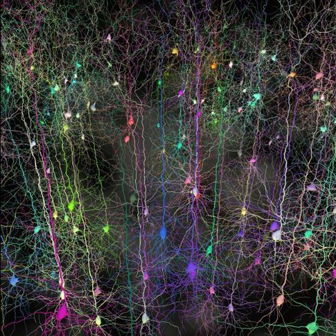 latestincosmos's tweet photo. 🚨: Cannabis protects brain cells ─ not destroy them! 

Decades of research show cannabinoids reduce inflammation and oxidative stress in the brain. https://t.co/kjbvxYEZiK