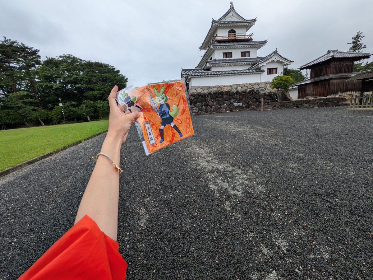 chico4646's tweet photo. 子どもの散歩&amp;すだちみのり【@sudachi0】さんのイラストを見に白石城へ🏯
グッズも手に入れました🫛♡
時間がなくてぱっと外観見ただけだったから、今度また来たときはじっくり見たい！！！！！めちゃくちゃ感動した！！！！ https://t.co/yZodg9OW3c
