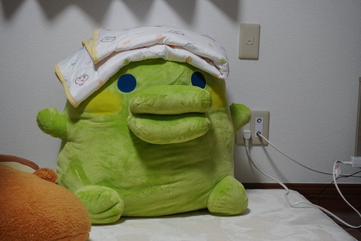 kinrui_0210's tweet photo. 一眼レフ開封！試し撮り🟢 https://t.co/dFvqhEVOwL